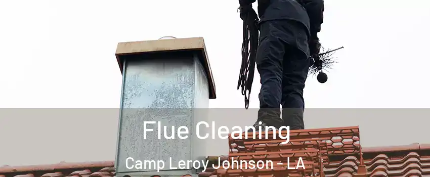 Flue Cleaning Camp Leroy Johnson - LA