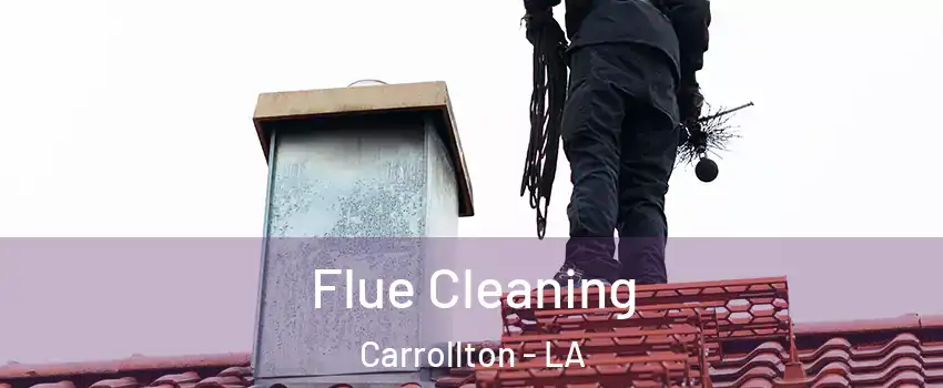 Flue Cleaning Carrollton - LA