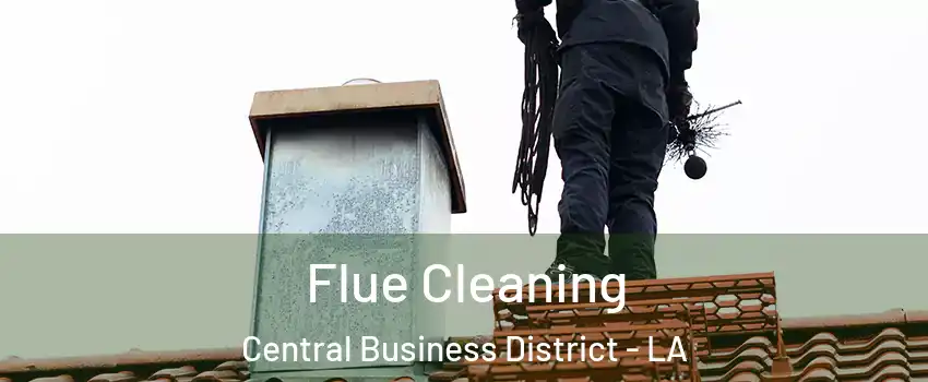 Flue Cleaning Central Business District - LA