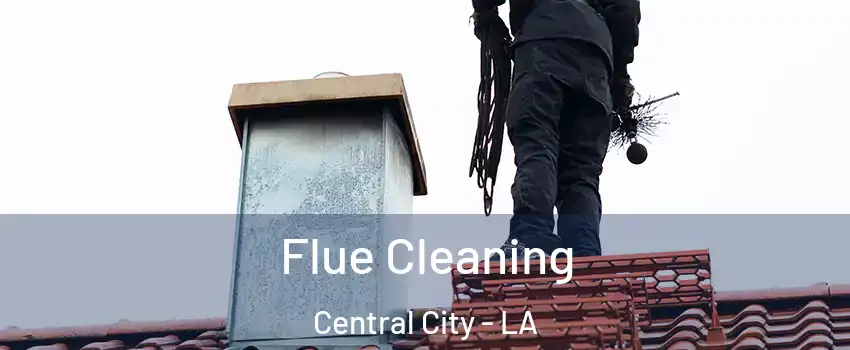 Flue Cleaning Central City - LA