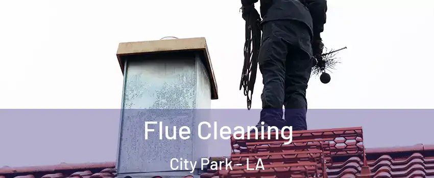 Flue Cleaning City Park - LA