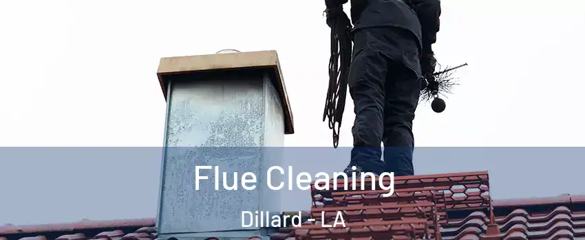 Flue Cleaning Dillard - LA