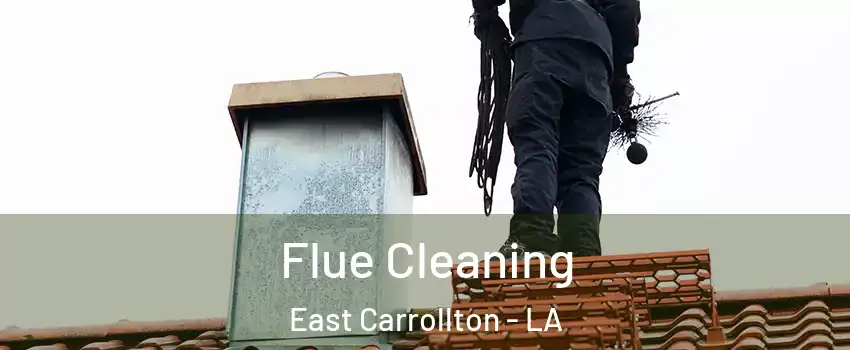 Flue Cleaning East Carrollton - LA