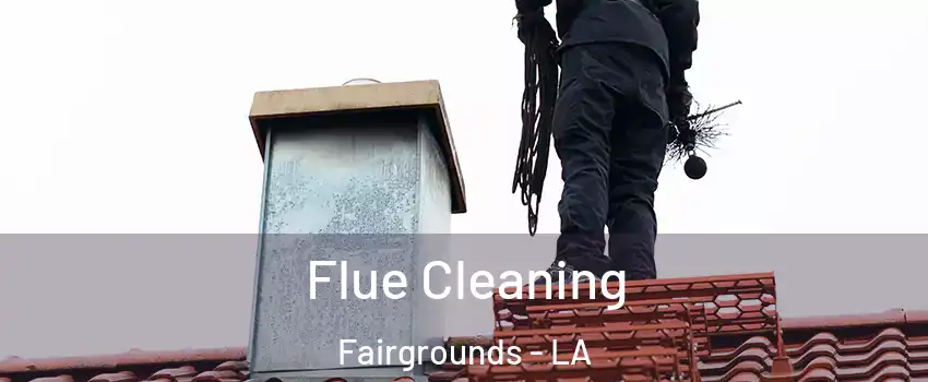 Flue Cleaning Fairgrounds - LA