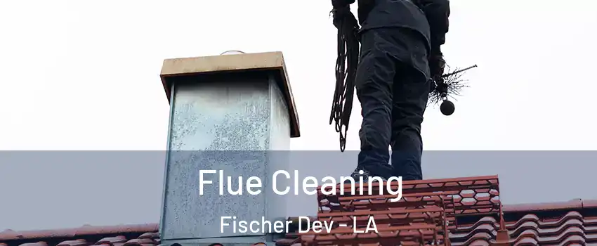 Flue Cleaning Fischer Dev - LA