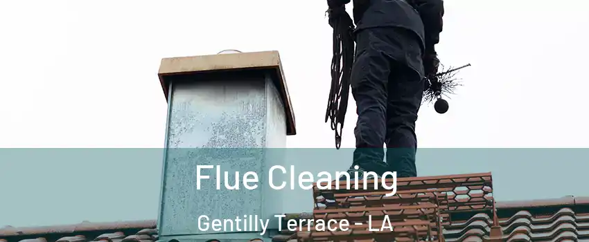 Flue Cleaning Gentilly Terrace - LA