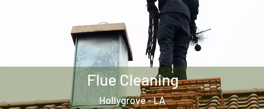 Flue Cleaning Hollygrove - LA