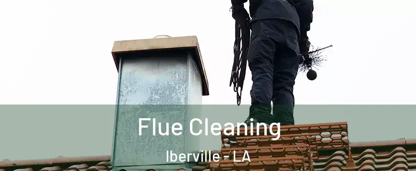 Flue Cleaning Iberville - LA