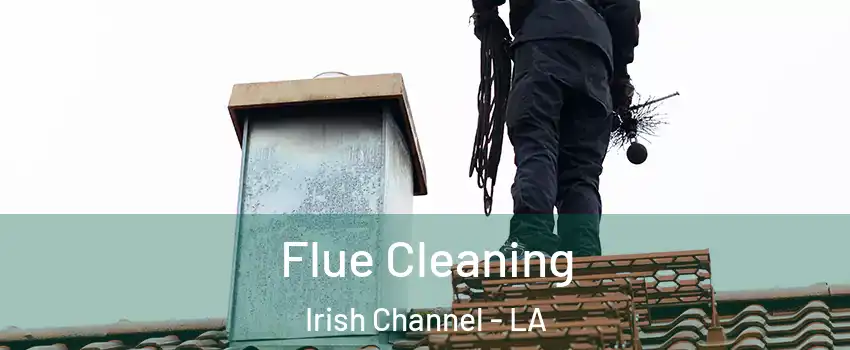 Flue Cleaning Irish Channel - LA