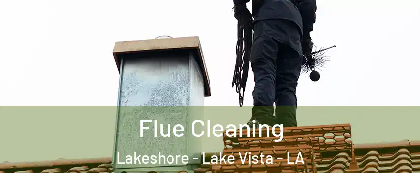 Flue Cleaning Lakeshore - Lake Vista - LA