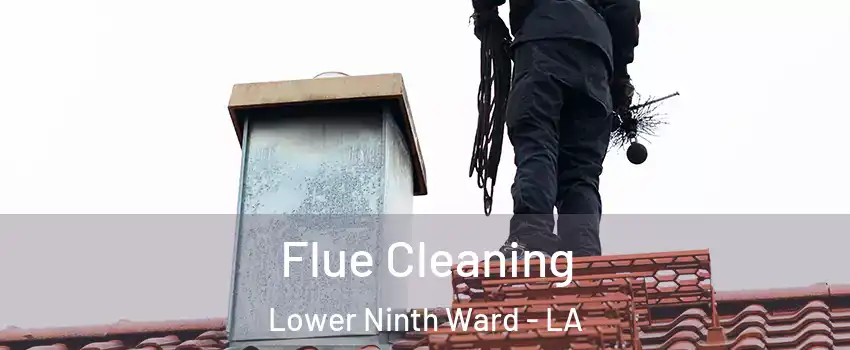 Flue Cleaning Lower Ninth Ward - LA