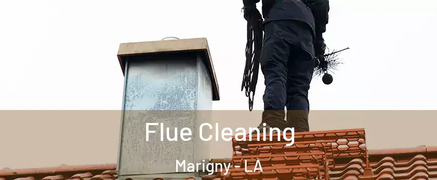 Flue Cleaning Marigny - LA