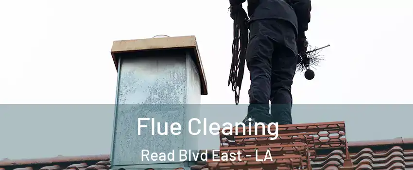 Flue Cleaning Read Blvd East - LA