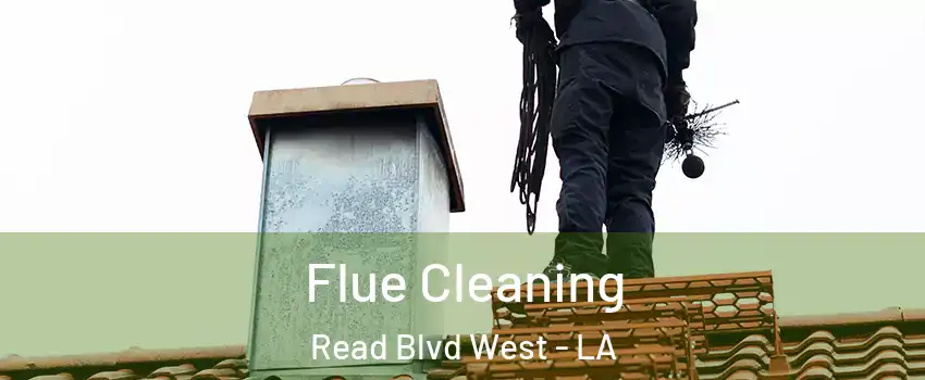 Flue Cleaning Read Blvd West - LA