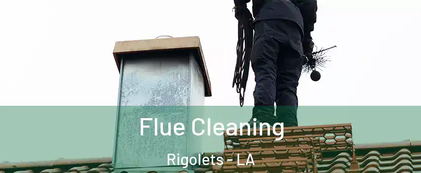 Flue Cleaning Rigolets - LA