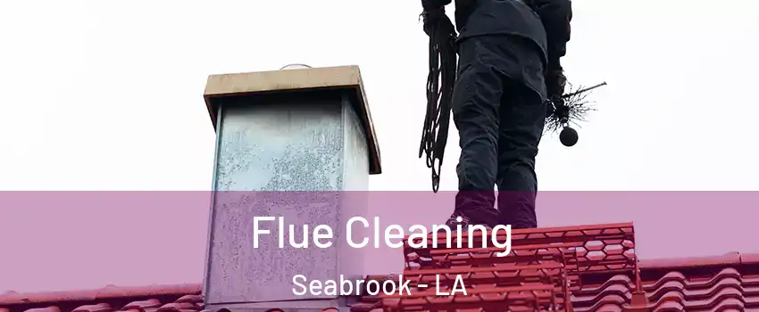 Flue Cleaning Seabrook - LA