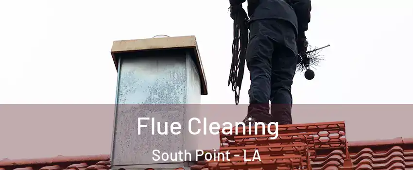 Flue Cleaning South Point - LA