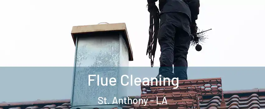 Flue Cleaning St. Anthony - LA