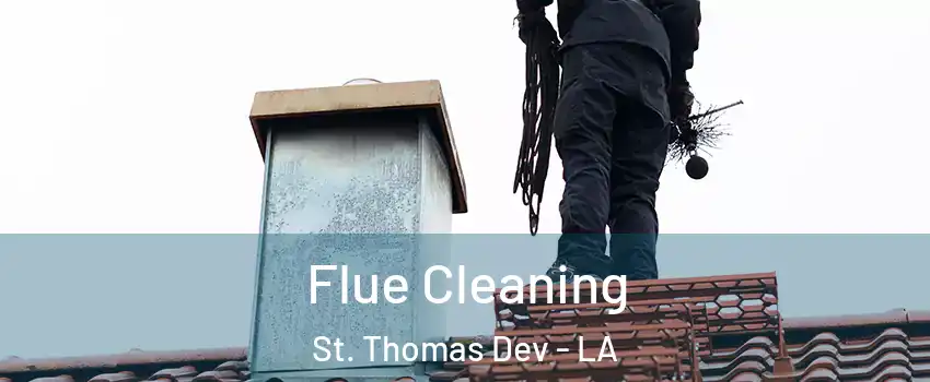 Flue Cleaning St. Thomas Dev - LA