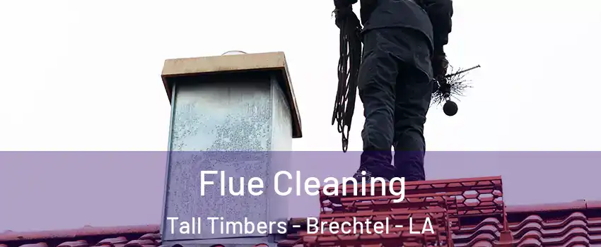 Flue Cleaning Tall Timbers - Brechtel - LA