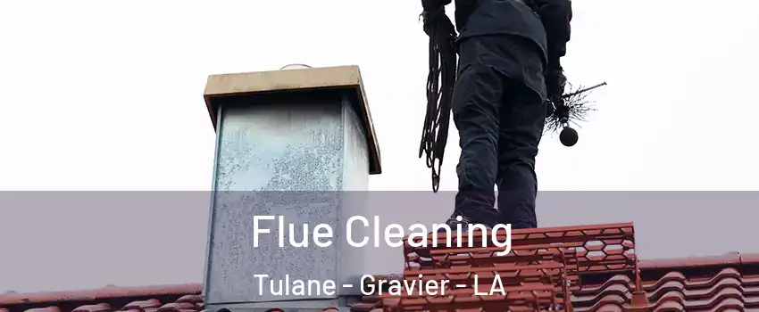 Flue Cleaning Tulane - Gravier - LA