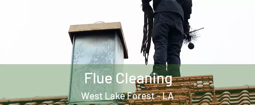 Flue Cleaning West Lake Forest - LA