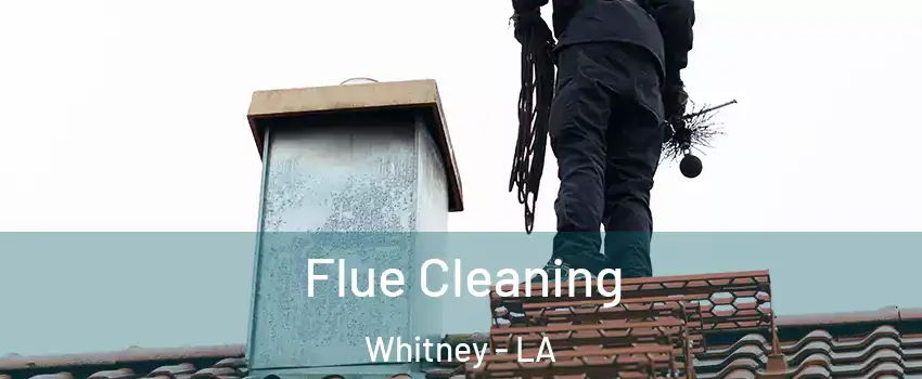 Flue Cleaning Whitney - LA