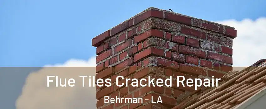 Flue Tiles Cracked Repair Behrman - LA