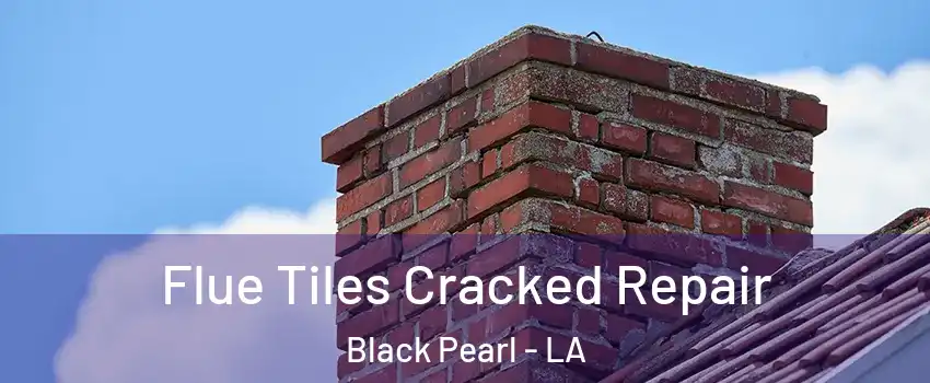 Flue Tiles Cracked Repair Black Pearl - LA