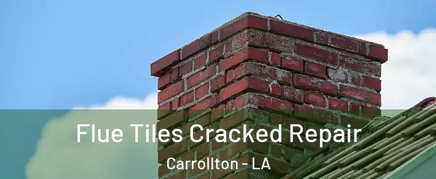 Flue Tiles Cracked Repair Carrollton - LA