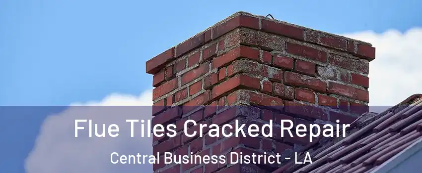 Flue Tiles Cracked Repair Central Business District - LA