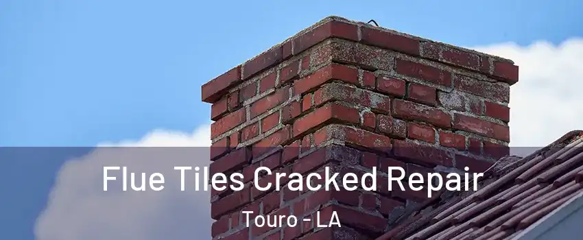 Flue Tiles Cracked Repair Touro - LA