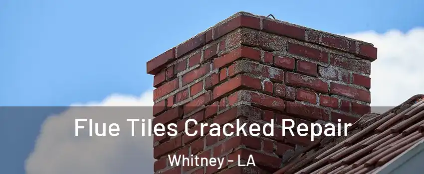 Flue Tiles Cracked Repair Whitney - LA