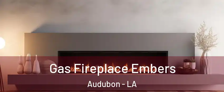 Gas Fireplace Embers Audubon - LA