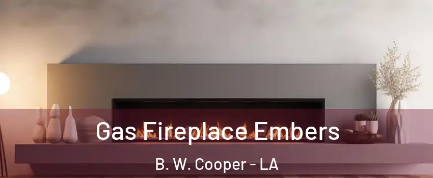 Gas Fireplace Embers B. W. Cooper - LA