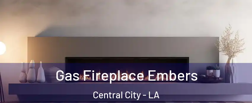 Gas Fireplace Embers Central City - LA