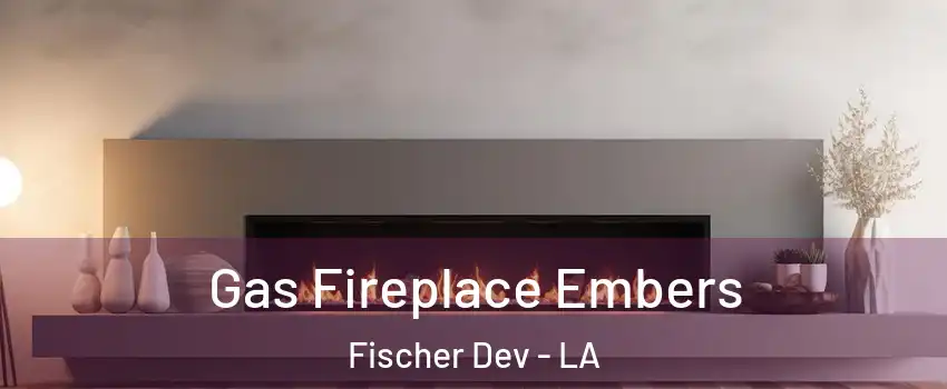 Gas Fireplace Embers Fischer Dev - LA