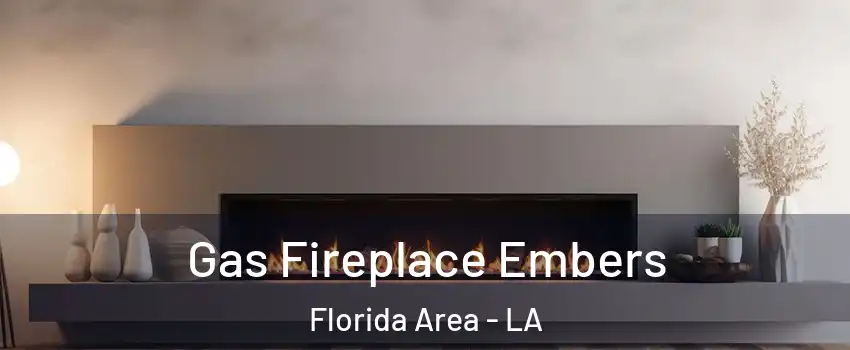 Gas Fireplace Embers Florida Area - LA