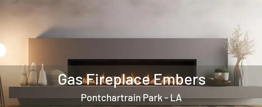 Gas Fireplace Embers Pontchartrain Park - LA