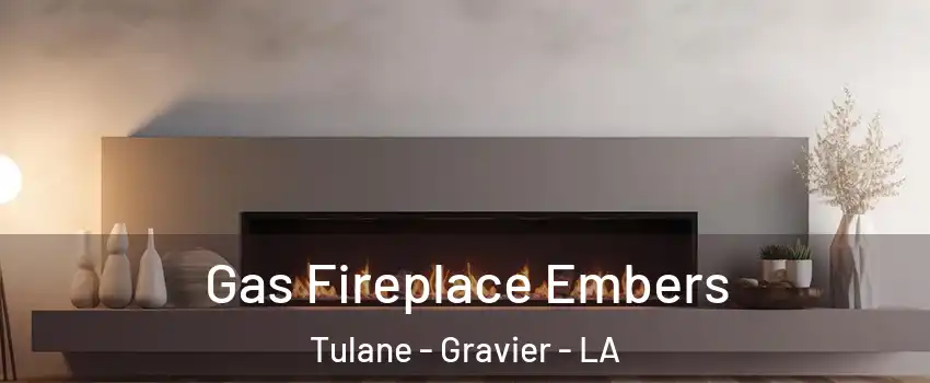 Gas Fireplace Embers Tulane - Gravier - LA