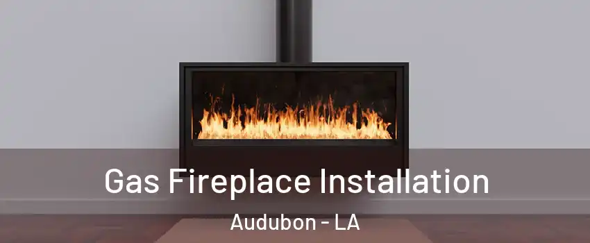 Gas Fireplace Installation Audubon - LA