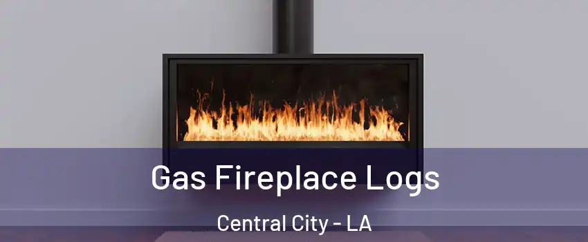 Gas Fireplace Logs Central City - LA