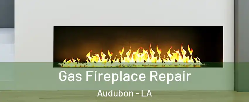 Gas Fireplace Repair Audubon - LA