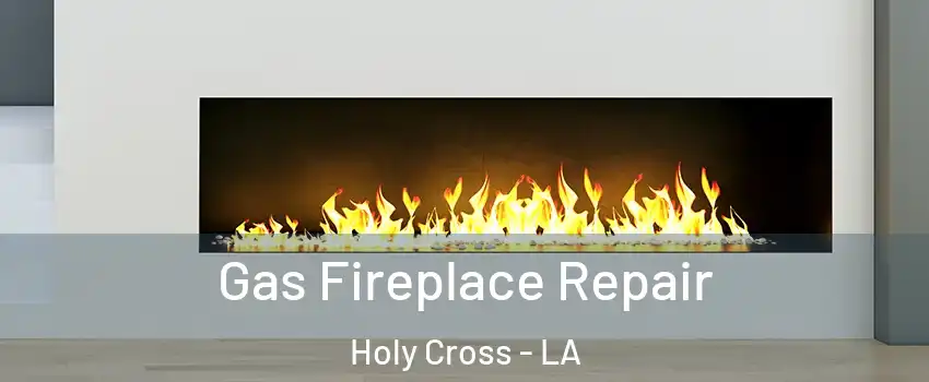 Gas Fireplace Repair Holy Cross - LA