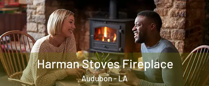 Harman Stoves Fireplace Audubon - LA