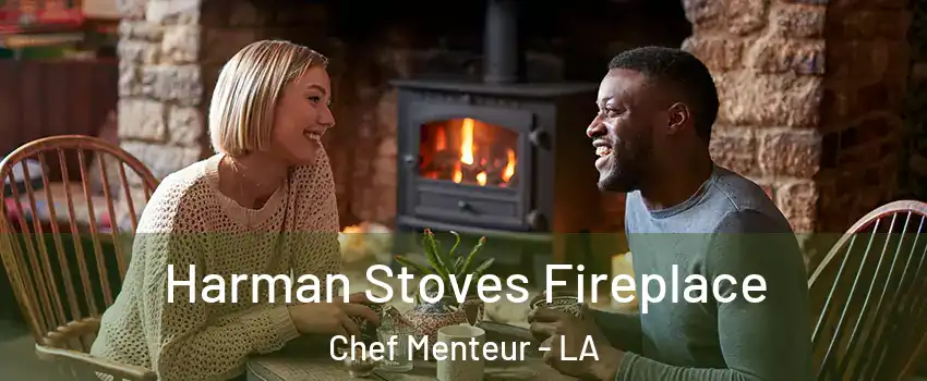 Harman Stoves Fireplace Chef Menteur - LA