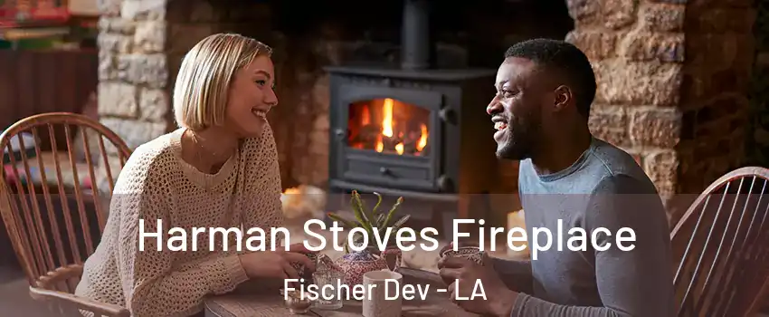 Harman Stoves Fireplace Fischer Dev - LA