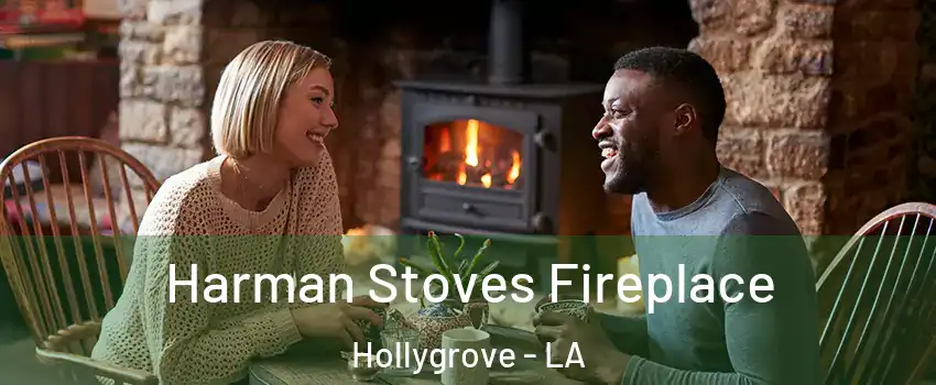 Harman Stoves Fireplace Hollygrove - LA