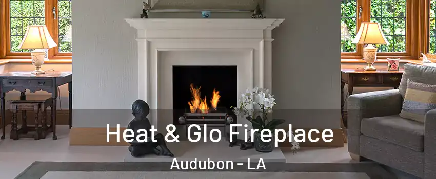 Heat & Glo Fireplace Audubon - LA