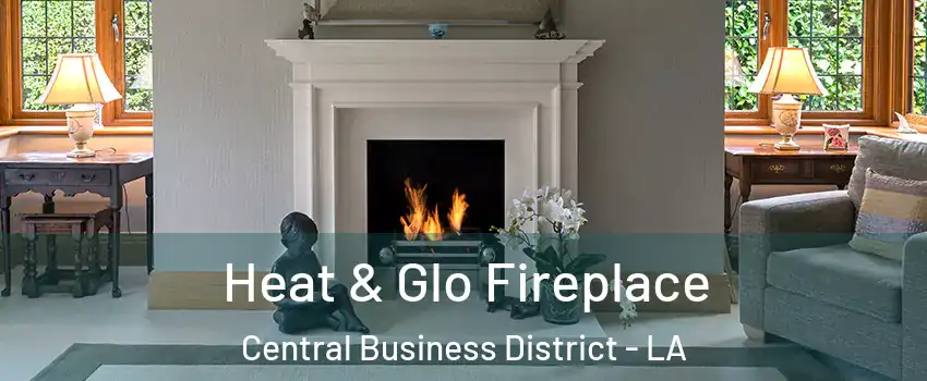 Heat & Glo Fireplace Central Business District - LA